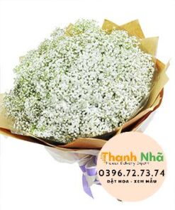 Hoa mừng tốt nghiệp - Baby's breath - 1235