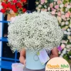 Hoa Giỏ - HG052