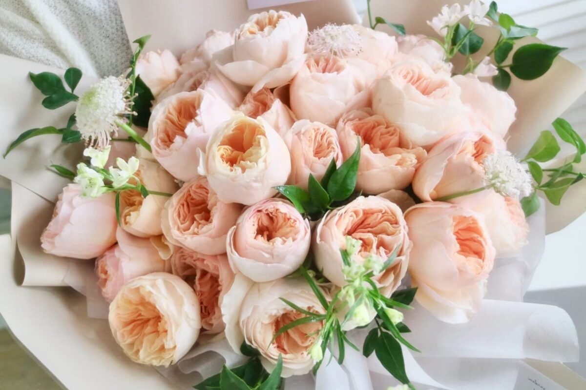 Ý Nghĩa Của Hoa Hồng Juliet
